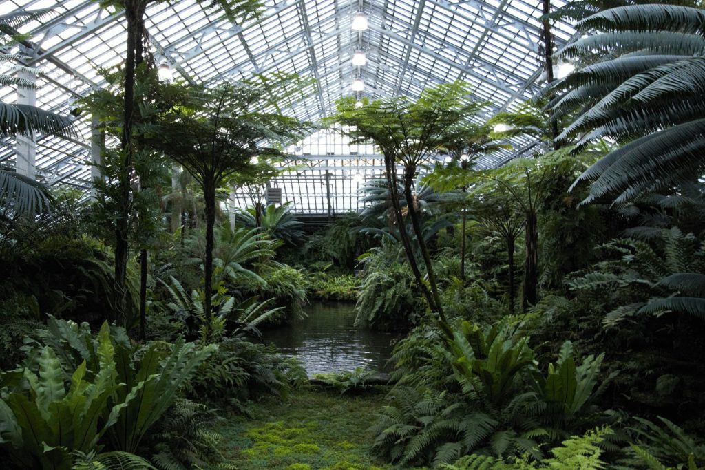 Garfield Park Conservatory indoor tropical garden Chicago